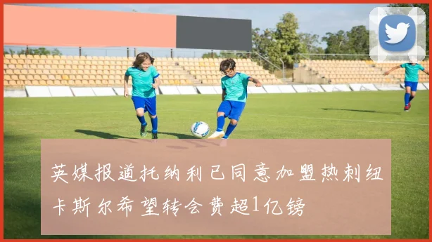 英媒报道托纳利已同意加盟热刺纽卡斯尔希望转会费超1亿镑